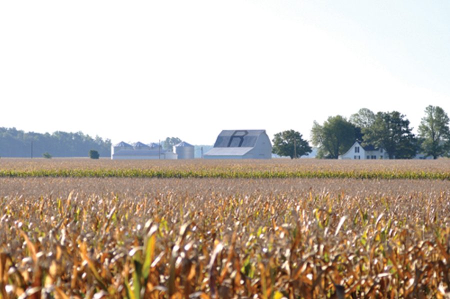 220.9 +/- Acres Offered in 5 Tracts - Farmland Auction